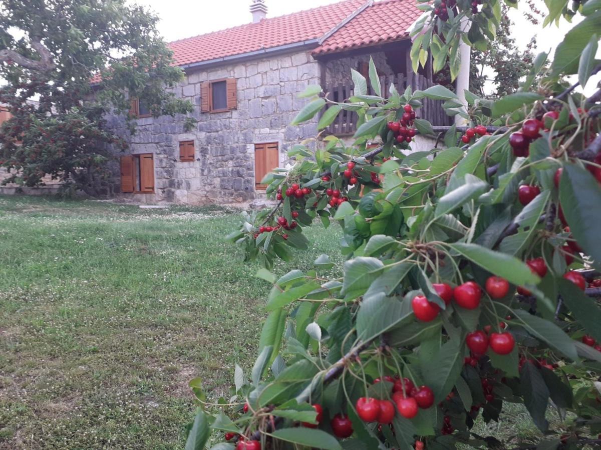 Patakun Holiday Home For 5, With Heated Pool Lecevica Kültér fotó